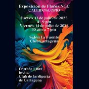 Exposición de flores NGC caleidoscopio